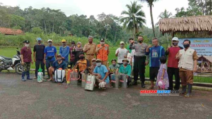 Serangan Wereng