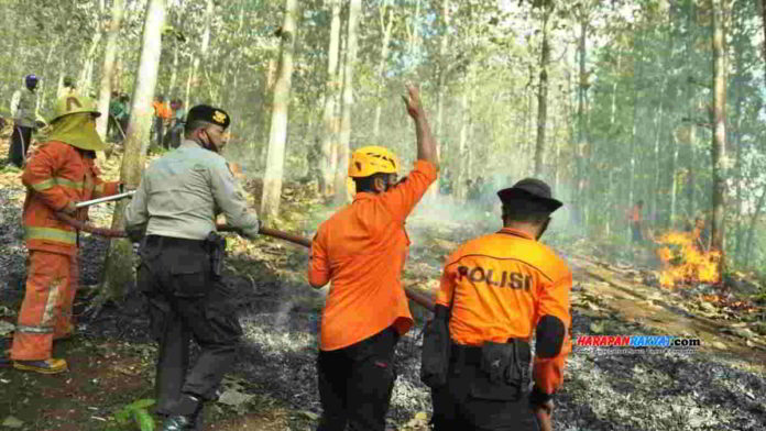 Para petugas gabungan saat simulasi kebakaran hutan dan lahan di kawasan hutan jati Gunung Sangkur, Kota Banjar. Foto: Muhlisin/HR.