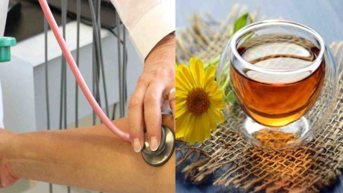 Obat Liver Herbal Alami yang Ampuh Meredakan Peradangan Hati