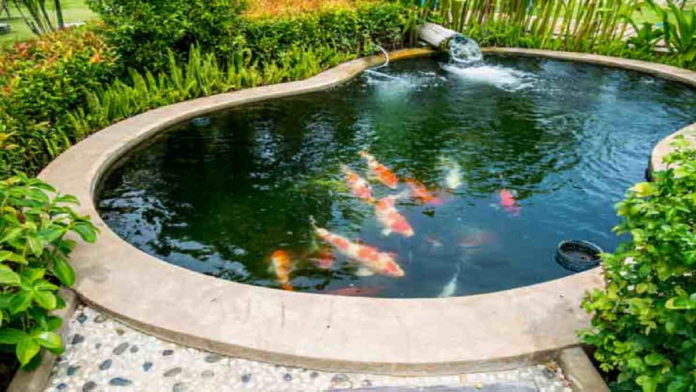 Kolam Hias Mini