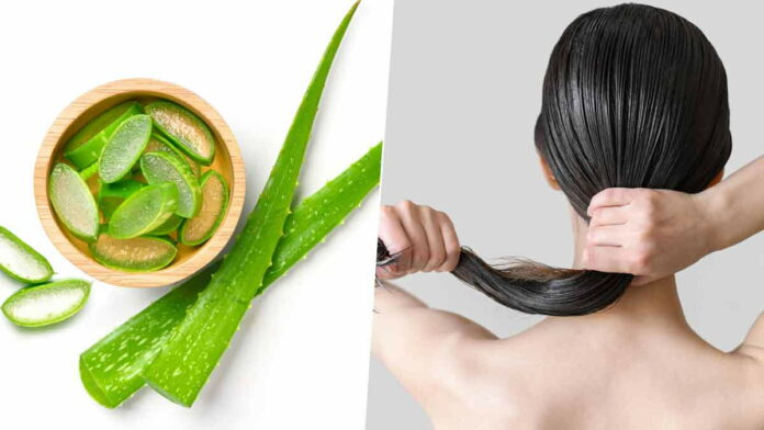 Agar Rambut Cepat Panjang, Gunakan Bahan Ini Secara Rutin