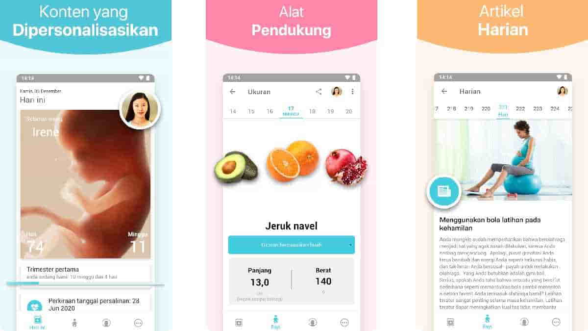 Aplikasi Menghitung Usia Kehamilan