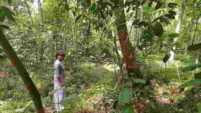 Geger Penampakan Hewan Misterius di Benteng Ciamis