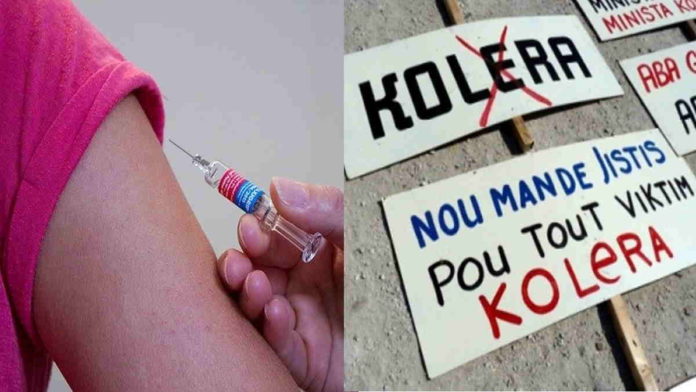 Gejala Penyakit Kolera, Penyebab dan Cara Mengatasinya