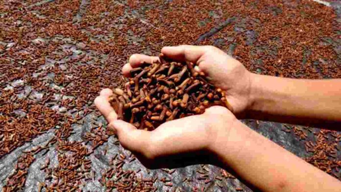 Harga komoditi rempah melambung naik di tingkat pengepul yang ada di Desa Lumbung, Kecamatan Lumbung, Kabupaten Ciamis. Foto: Net/Ist.