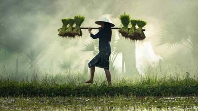 Sejarah Hari Tani Nasional