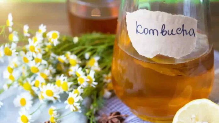 Manfaat Teh Kombucha bagi Kesehatan, Ketahui Takarannya