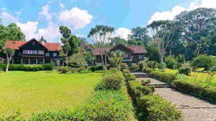 Menata Taman Depan Rumah Sederhana