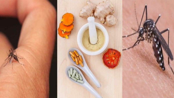 Obat Herbal Demam Berdarah yang Murah dan Bisa Buat Sendiri