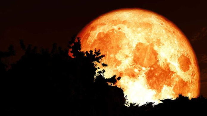 Fenomena The Full Hunter Moon