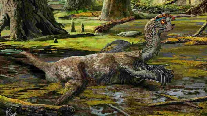 Spesies Dinosaurus Baru Oksoko Avarsan