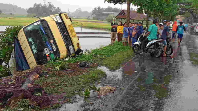 Gegara Setir Macet, Truk Oleng ke Sawah di Kota Tasikmalaya