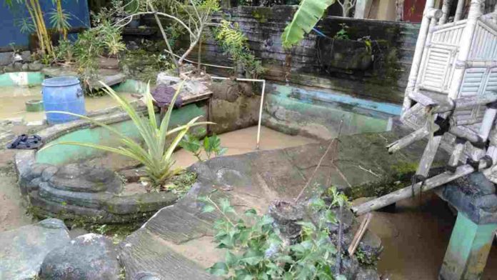 Ikan Koi Kabur