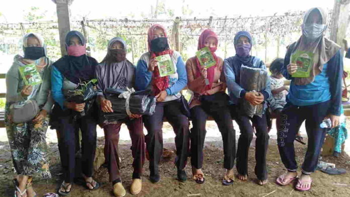 KWT Mekar Annisa Desa Ciakar Ciamis Manfaatkan Tanah Bengkok