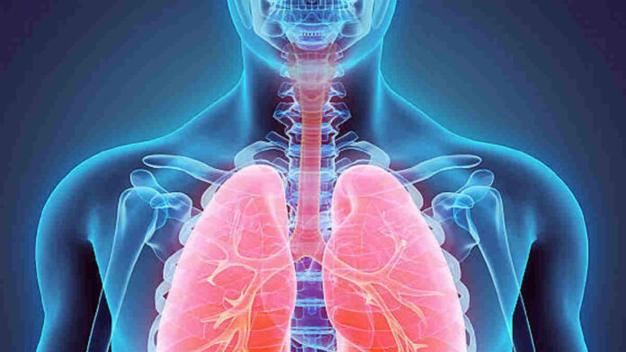 Organ Sistem Pernapasan Manusia dan Cara Menjaganya