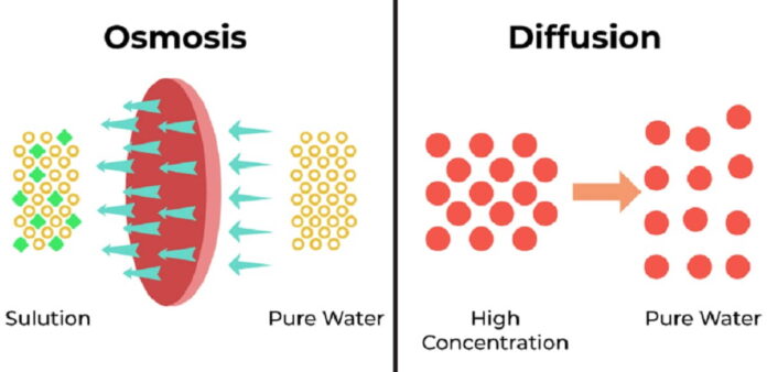 Perbedaan Difusi dan Osmosis