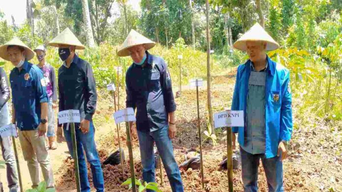 Peringatan Sumpah Pemuda di Ciamis dengan Menanam 10 Ribu Porang