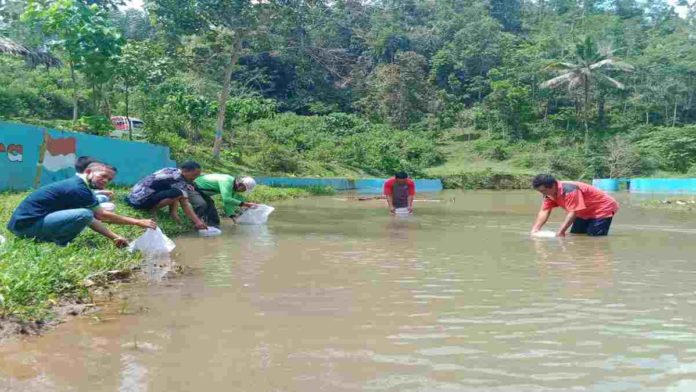 Ribuan Benih Ikan Ditebar di Sungai Langkaplancar Pangandaran