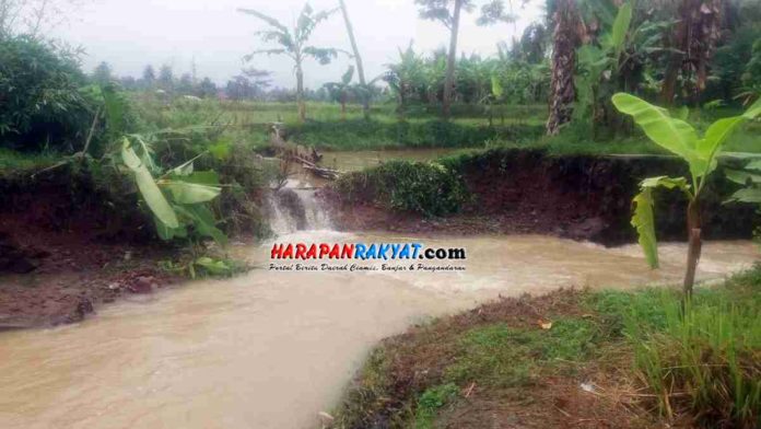 Tanggul Jebol Hektaran Sawah di Pamarican Ciamis Terancam