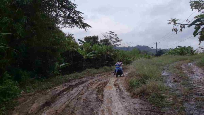 Warga Desa Bantardawa Ciamis Keluhkan Kondisi Jalan Berlumpur