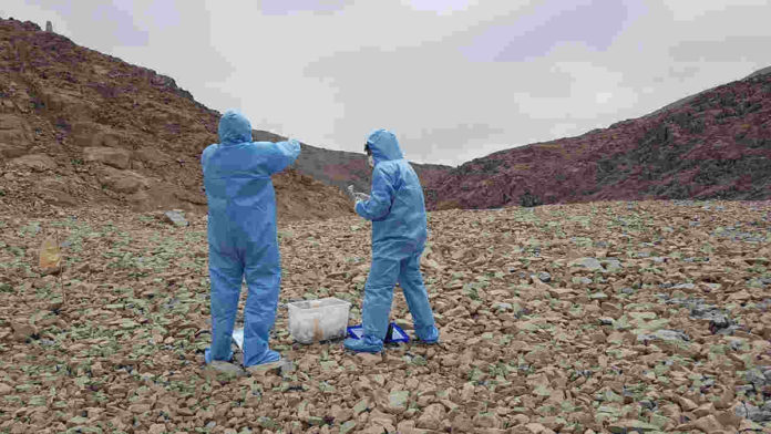 Temuan Mikroba di Gurun Atacama