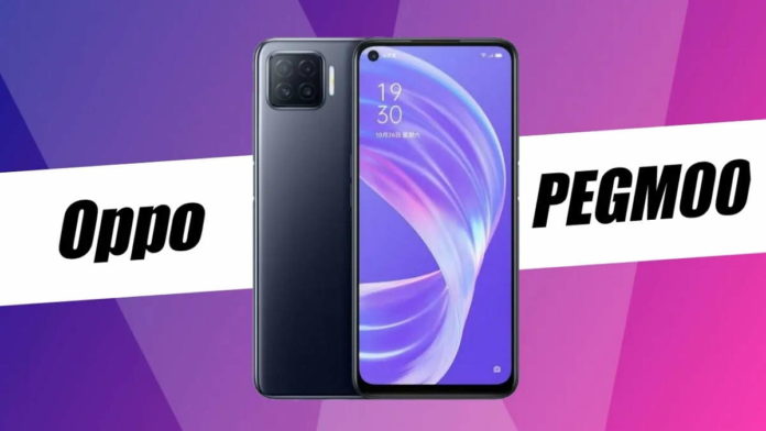HP Oppo PEGM00