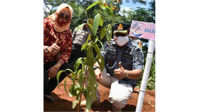 Baksos HDKD 2020, Lapas Banjar Bagikan Bibit Pohon dan Suplemen