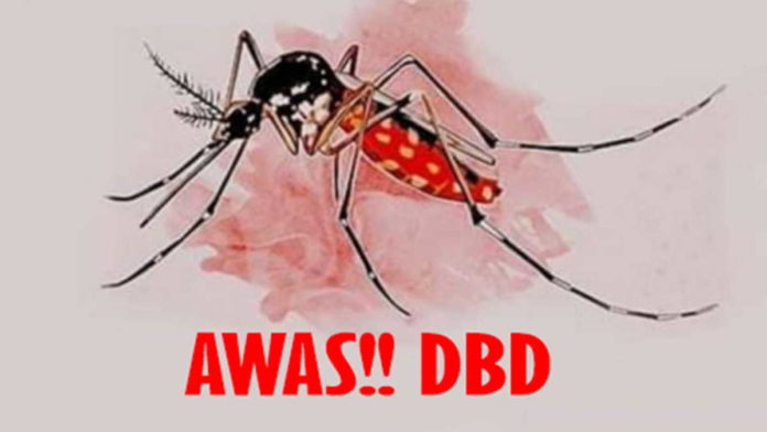 Cegah Penyakit DBD, Bupati Ciamis Imbau Warga Lakukan PSN