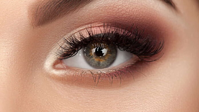 Jenis Warna Eyeshadow