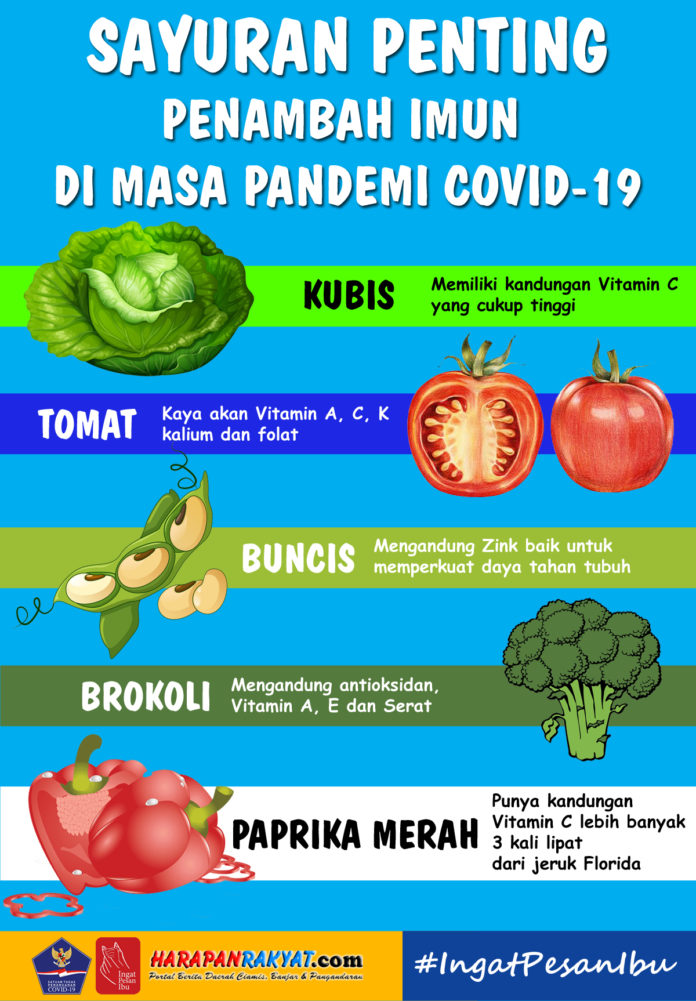 Jenis Sayuran Penambah Imun di Masa Pandemi Covid-19