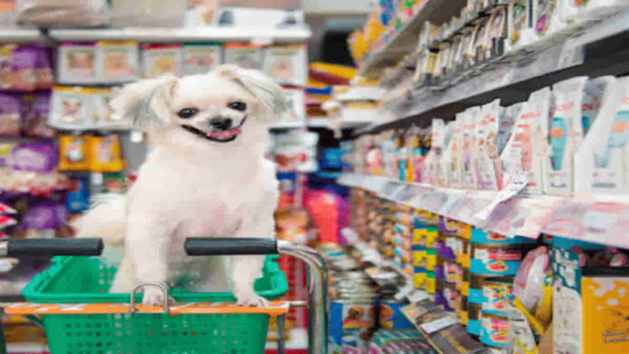 Memulai Bisnis Petshop dengan Mudah, Ini Perkiraan Modalnya!