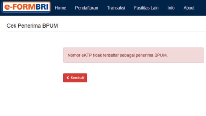 NIK di eform.bri.co.id tidak terdaftar, apakah BLT UMKM bisa tetap cair? Foto: Net/Ist.