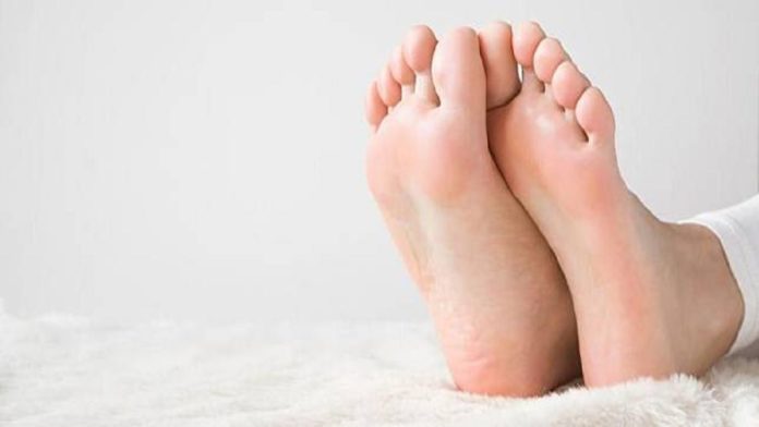 Anatomi Telapak Kaki Manusia dan Jenis Pronasi Pada Kaki