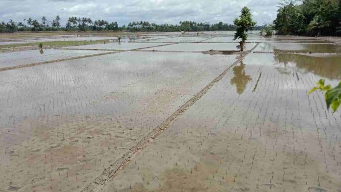 Banjir Pangandaran