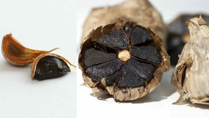 khasiat black garlic untuk kesehatan