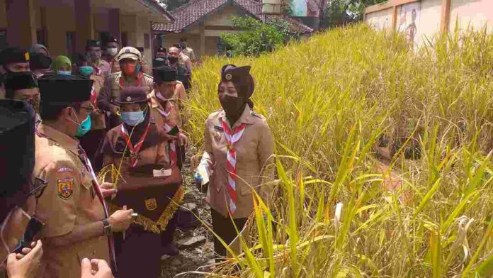 Atalia Kwarcab Ciamis