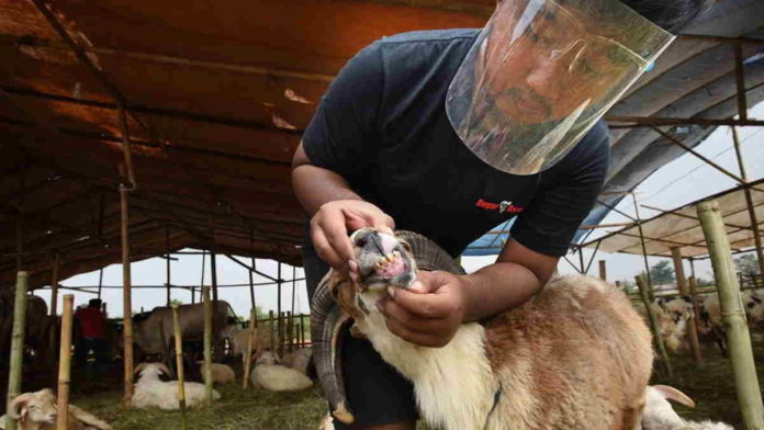 Wadahi Informasi Seputar Kopi Ciamis, Dinas Pertanian Kenalkan Aplikasi Skoci
