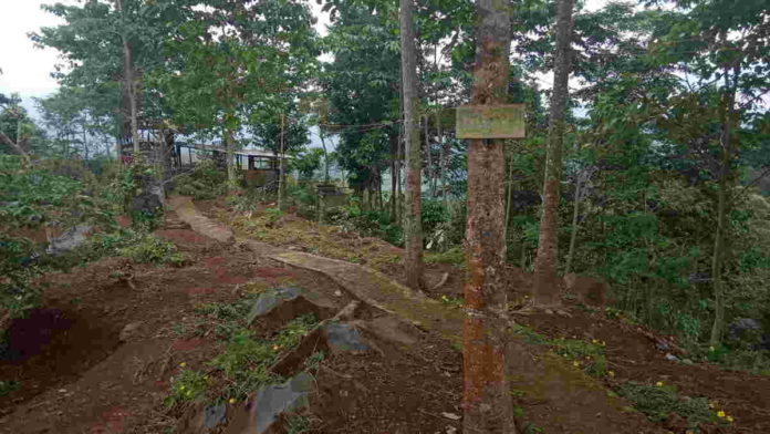 Objek Wisata Murbai Cipaku Ciamis Terlantar dan Kumuh