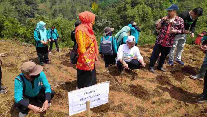 Pandemi Covid-19, Siswa SMK di Panjalu Ciamis Tanam Jahe Merah