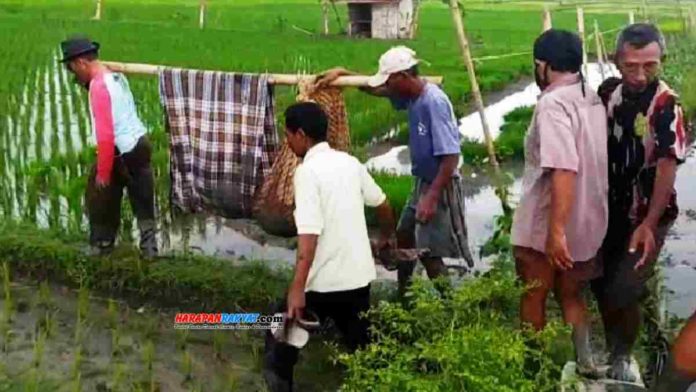 Penemuan mayat di sawah gegerkan warga Desa Kedungwuluh, Kecamatan Padaherang, Kabupaten Pangandaran, Jawa Barat, Sabtu (05/12/2020). Foto: Entang SR/HR.