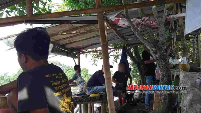 Situ Gede Tasikmalaya