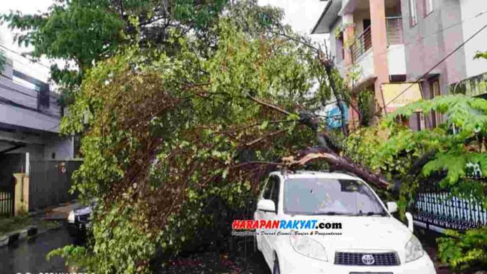 Pohon kersen tumbang di Kota Tasikmalaya, Jawa Barat, menimpa sebuah mobil Toyota Rush yang terparkir di bawah pohon tersebut. Foto: Apip Wilianto/HR.