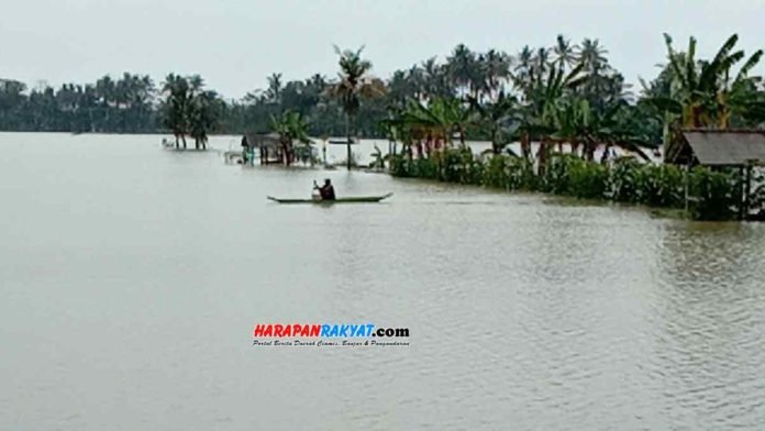Sawah terendam banjir rupanya menjadi berkah bagi warga Desa Tunggilis, Kecamatan Padaherang, Kabupaten Pangandaran, Jawa Barat. Foto: Entang SR/HR.