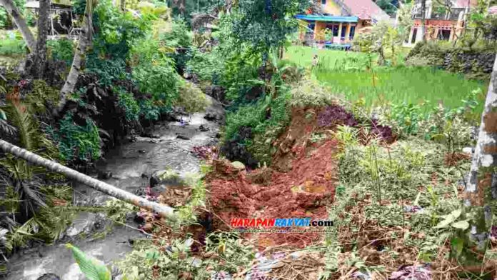 Tebing sungai amblas di Dusun Ciakarhilir, Desa Ciakar, Kecamatan Cipaku, Kabupaten Ciamis, Jawa Barat, mengakibatkan pematang sawah di lokasi tersebut ikut tergusur. Foto: Edji Darsono/HR.