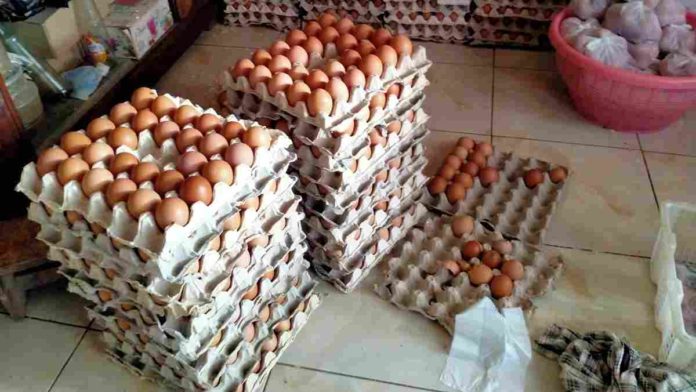 Telur BPNT Ciamis