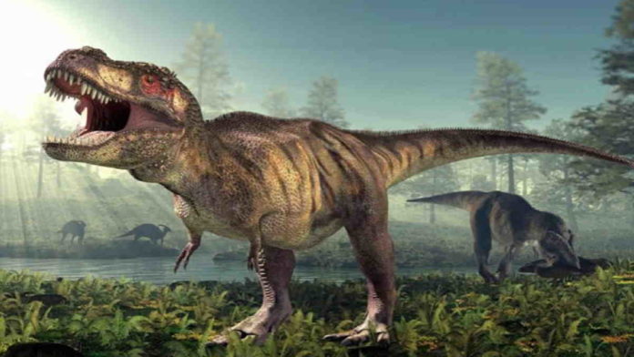 Fosil Bayi Tyrannosaurus di Kanada