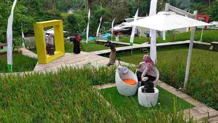 Cireong Natural View Farming