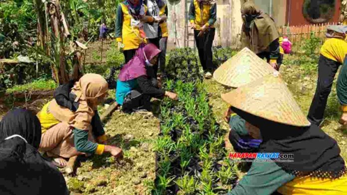 Desa Selasari