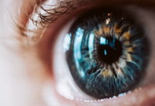 Fungsi Pupil pada Mata