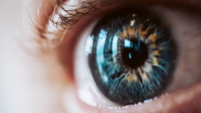 Fungsi Pupil pada Mata